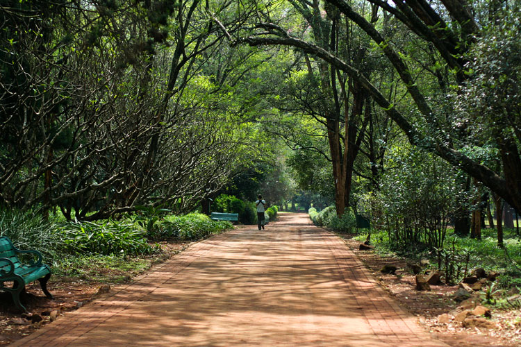 Nairobi Arboretum