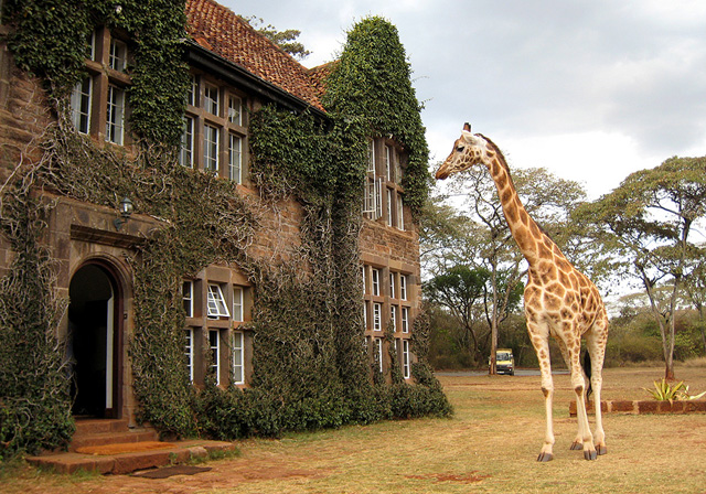 Image result for Best places to visit in kenya