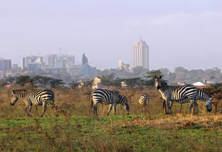 Nairobi National Park