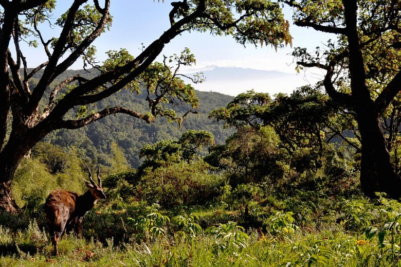 Abedares National Park