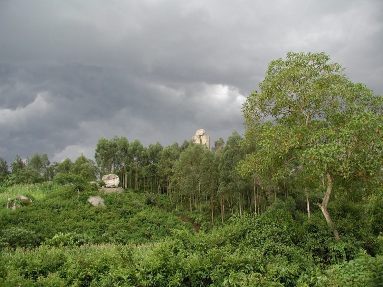 Kakamega Forest Reserve