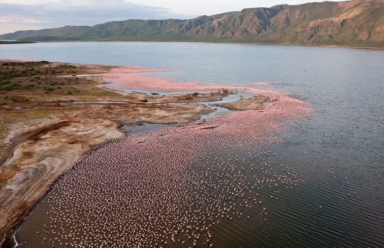 Lake_Bogoria_National_Reserve_025