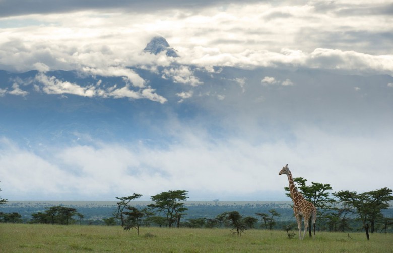 Ol_Pejeta_Conservancy_001