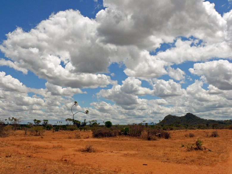 Meru National Park