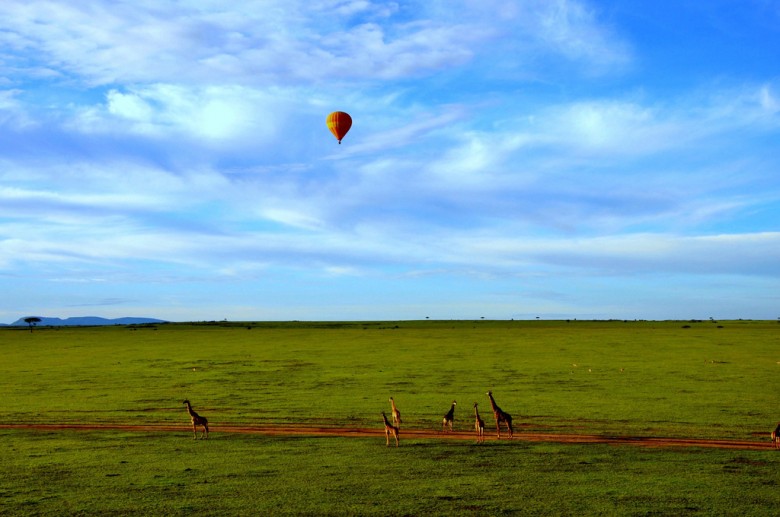 Hot Balloon Safari