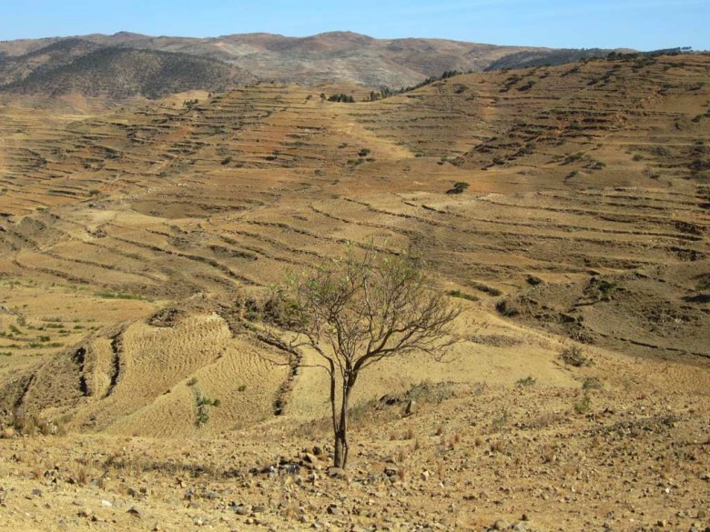Terraced hillsides between Asmara and Keren, Eritrea.