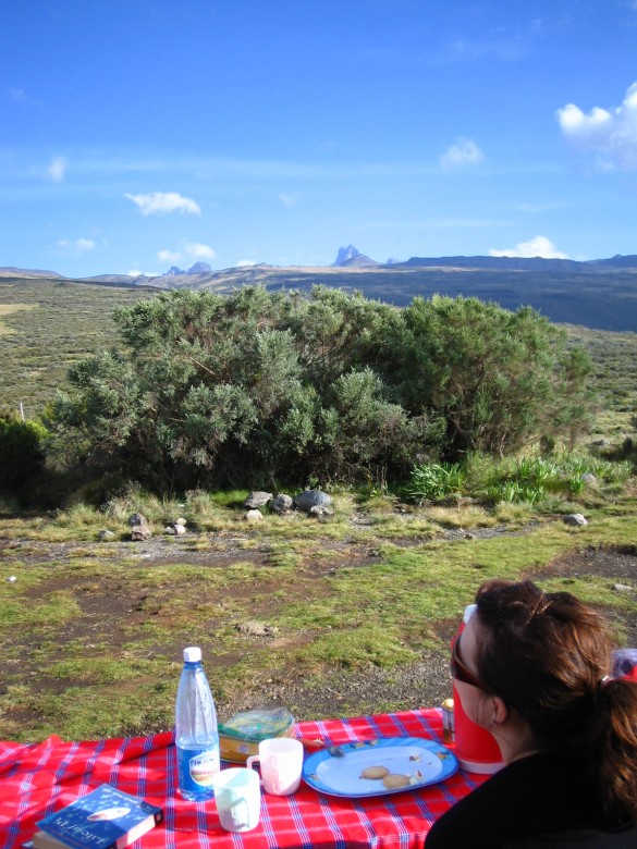 Mt Kenya picnic