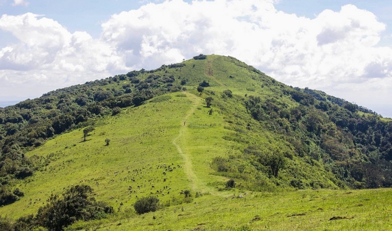 Ngong Hills, Kenya