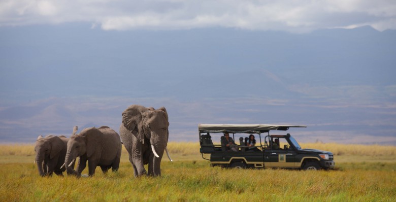 Game-Drive-Wildlife-Kenya