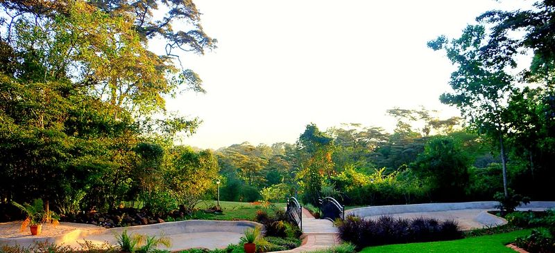 Lush garden leading to a luxurious wellness spa