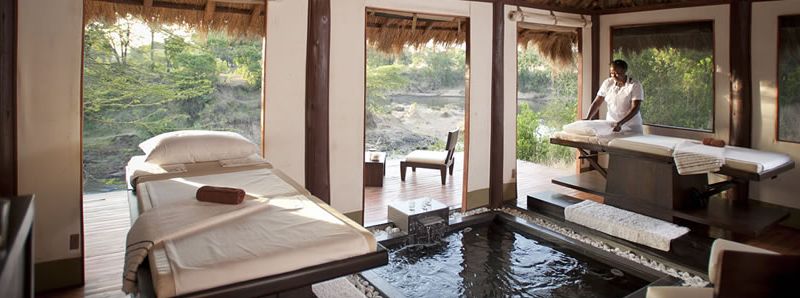 spa treatment room with a gorgeous view of the wilderness