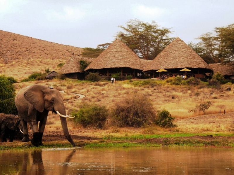 Elephant and baby drinking at a watering hole