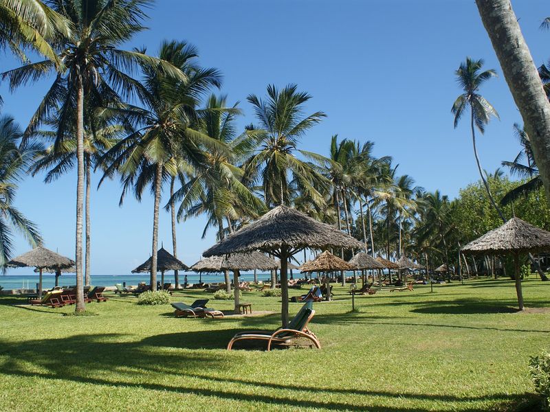 Palm trees leading to the beach in Mombasa
