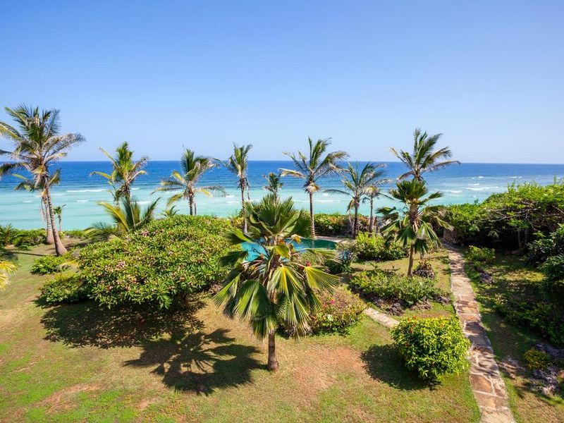 View of beach through palm trees