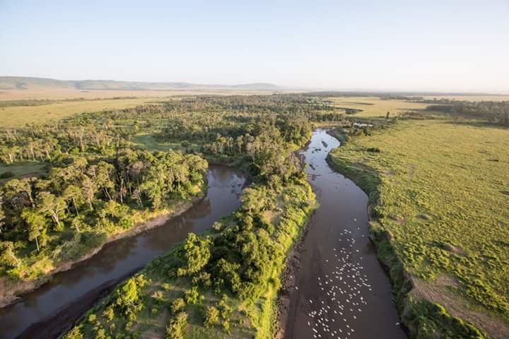 Aerial view of birds flying over a river in Kenya