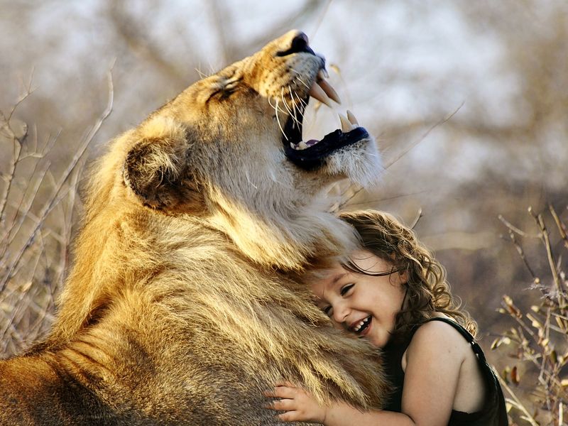 Little girl with her Lion friend