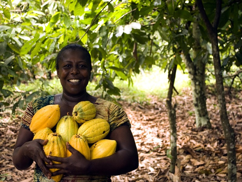 Woman with cocoa fruit