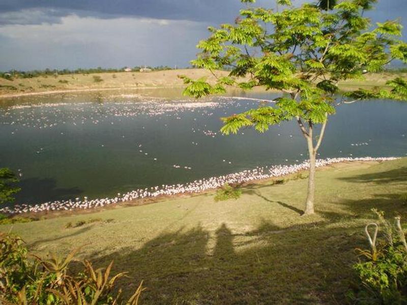 Lake Simbi Nyaimba