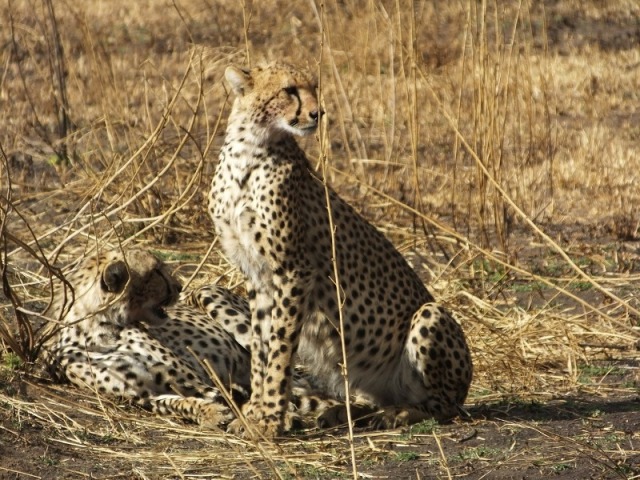 Serengeti National Park (2)