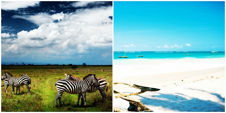 Kenya safari n beach