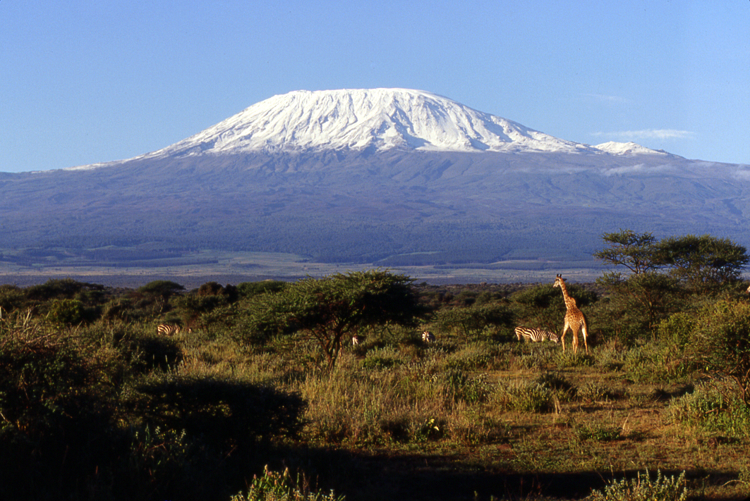Kilimanjaro