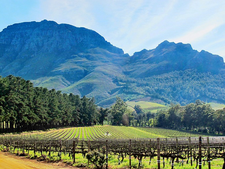 Stellenbosch Winelands, South Africa