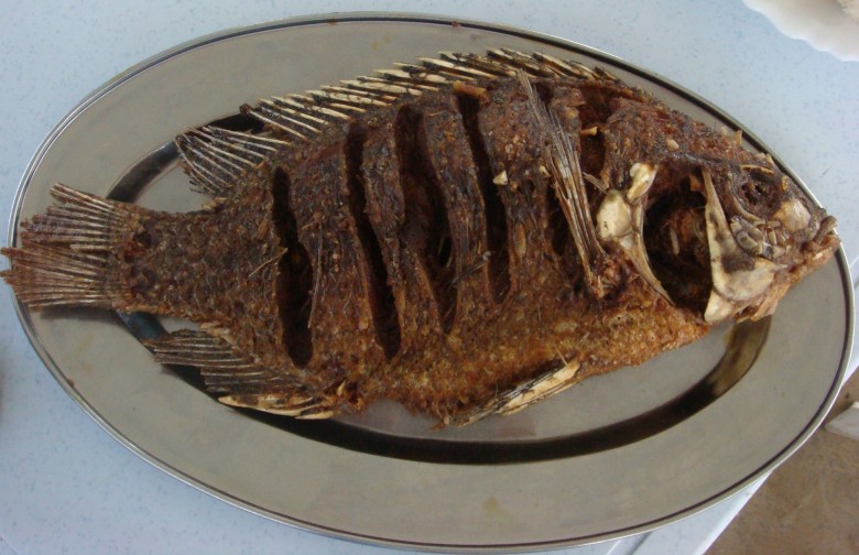 Tilapia Beach restaurant