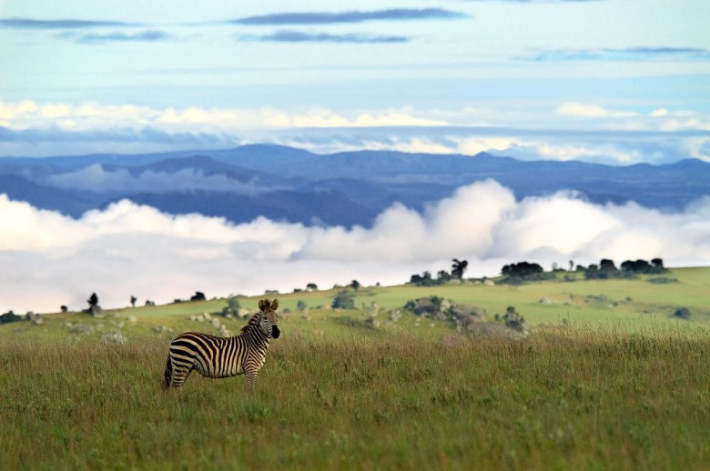 Nyika Plateau national park, malawi