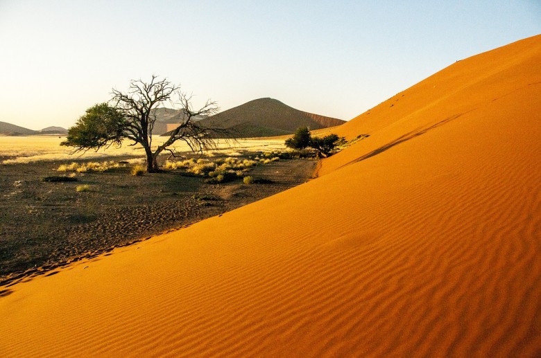 Wolwedans, Namib Desert,Namibia