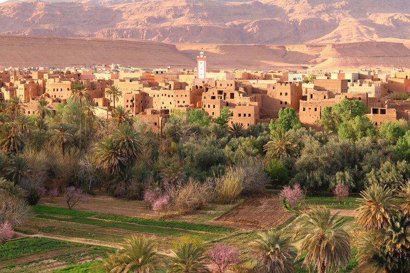 Desert City
