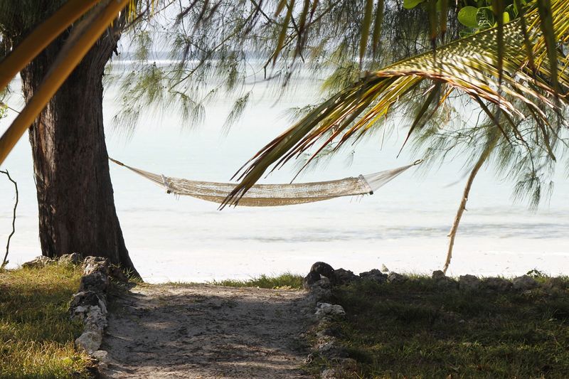 Hammock on a beach