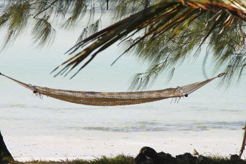 hammock at a beach